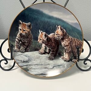Three of a Kind by Charles Fracé  Small Wonders of the Wild Plate #0529C
